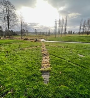 Drainage between the blue and white tee complex on #18.-2