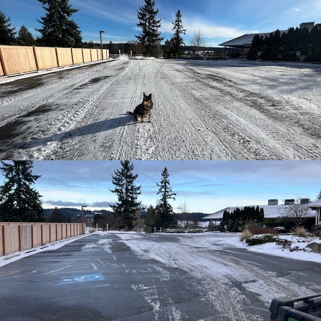 Snow plowing the Clubhouse parking lot and applying a de-icer.