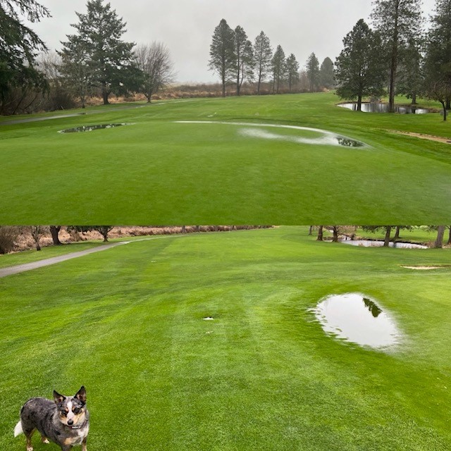 Collar Dam #13 (1)