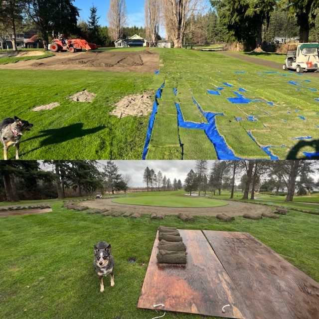 Cutting Sod #13 Green