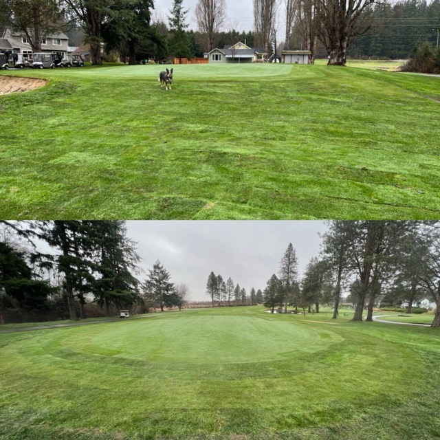 Sod installation #13 green